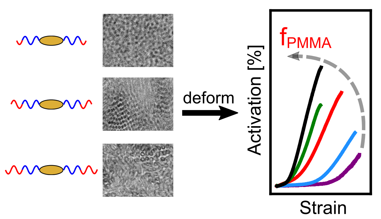 PREPRINT: Effect of Polymer Composition and Morphology on Mechanochemical Activation in Nanostructured Triblock Copolymers