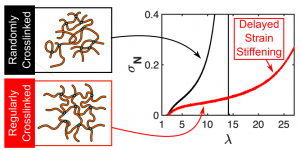 PREPRINT: Effect of Crosslink Homogeneity on the High Strain Behavior of Elastic Polymer Networks
